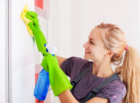 Pet stain odour removal in Hanwell for carpets and upholstery