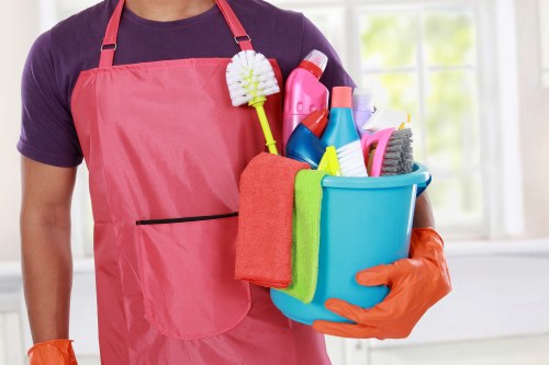 Carpet cleaning pricing discussion with a professional cleaner in Hanwell