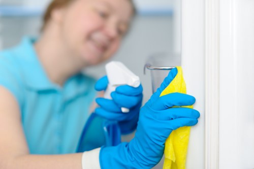 Fresh home after pet stain odour removal in Hanwell