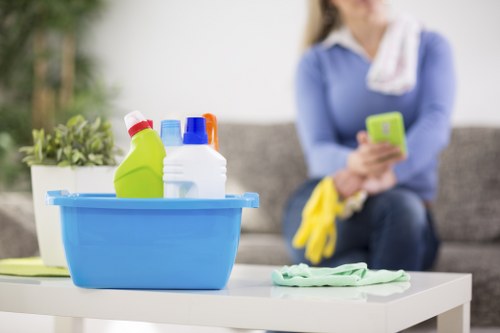 Deep carpet cleaning process for a fresh and healthy interior