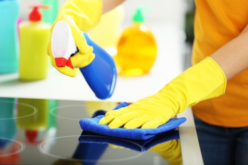 Local carpet cleaner treating a high-traffic area in Hanwell