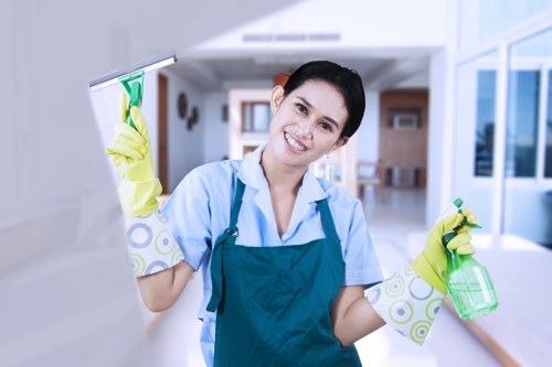 Professional carpet cleaning assessment in a Hanwell property