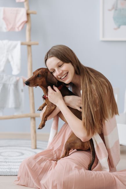 A small, light-colored puppy with brown eyes and floppy ears is lying on a textured grey carpet in a living room, holding and chewing on a white and beige rope toy. The room is warmly lit, with a blac